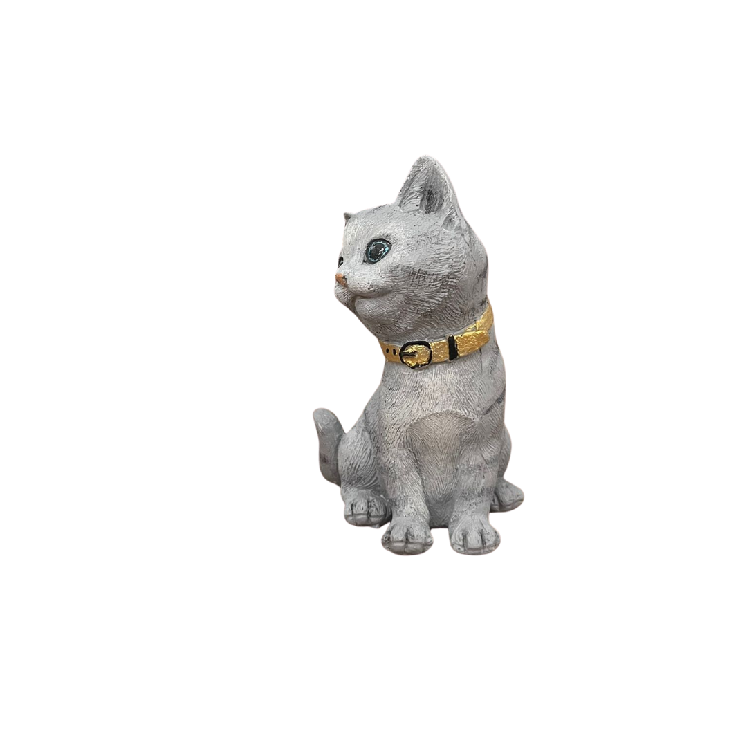 Paws