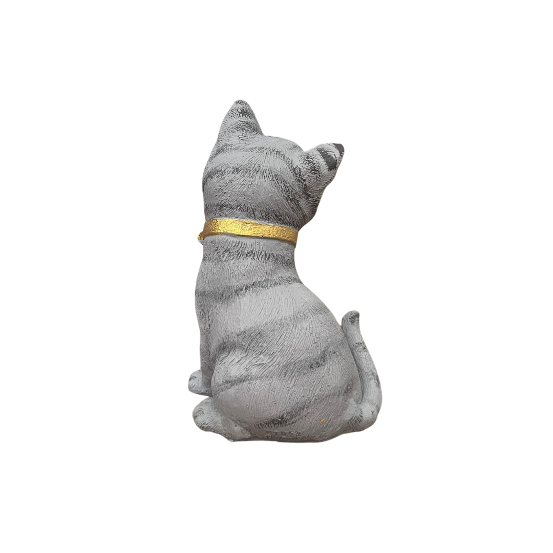 Paws
