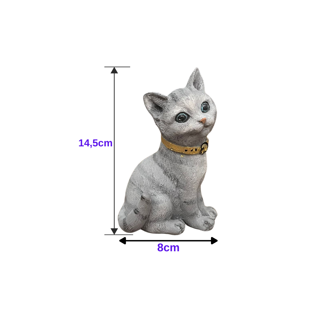 Paws
